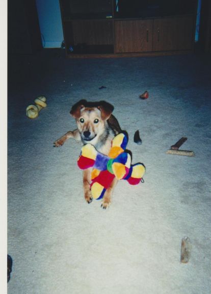 Baby Shelby ... her first day home.